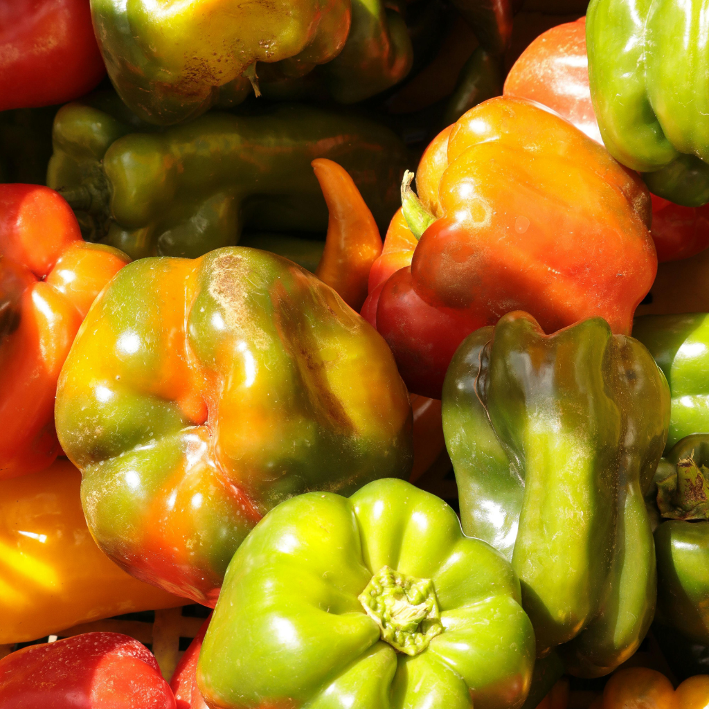 Capsicums and Chillies