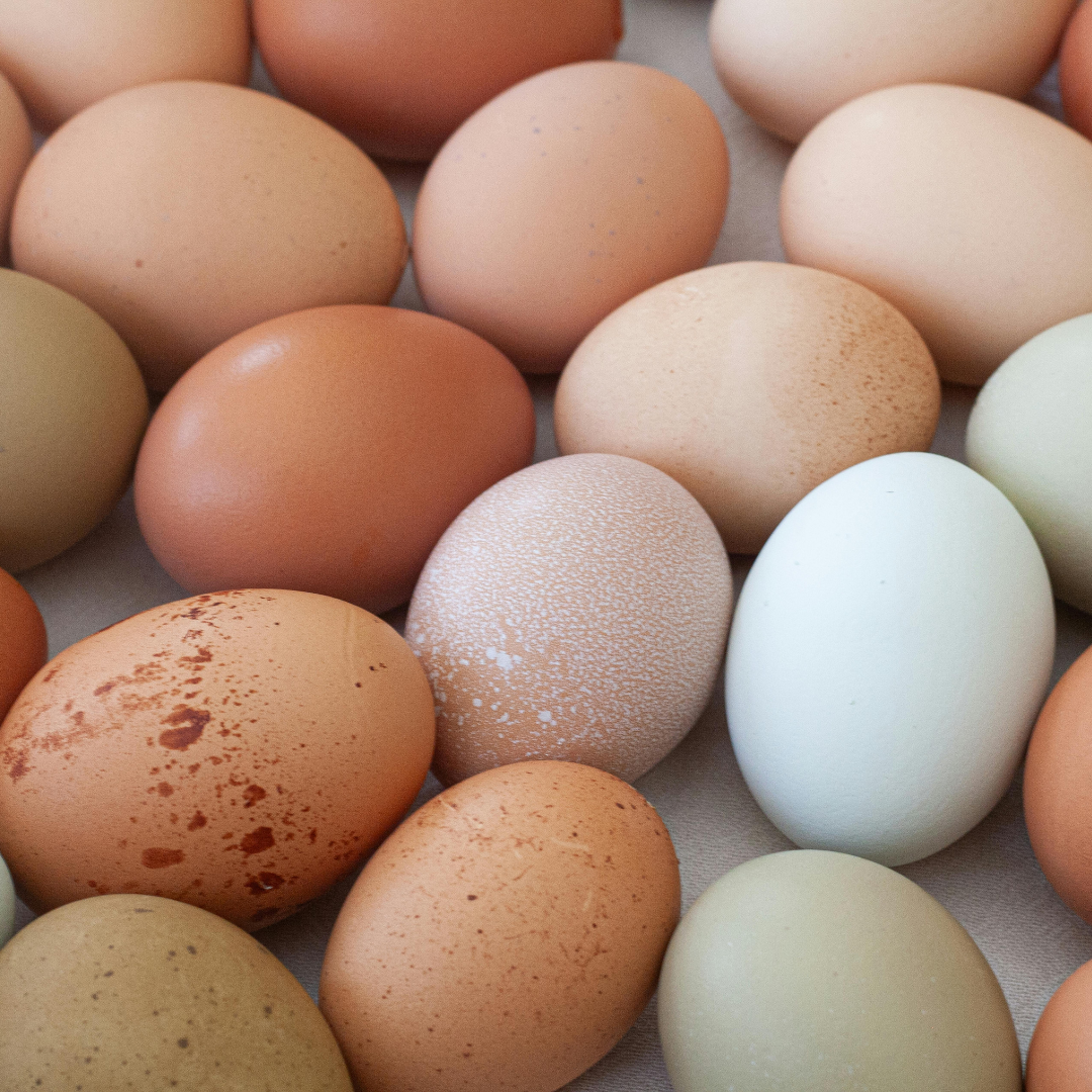 Eggs