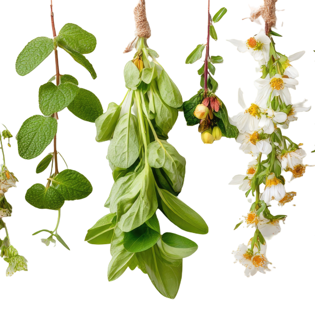 Fresh Herbs, Flowers and Micro