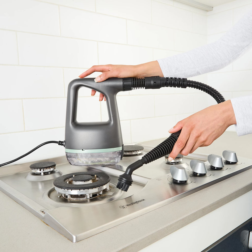 Handheld Steamer