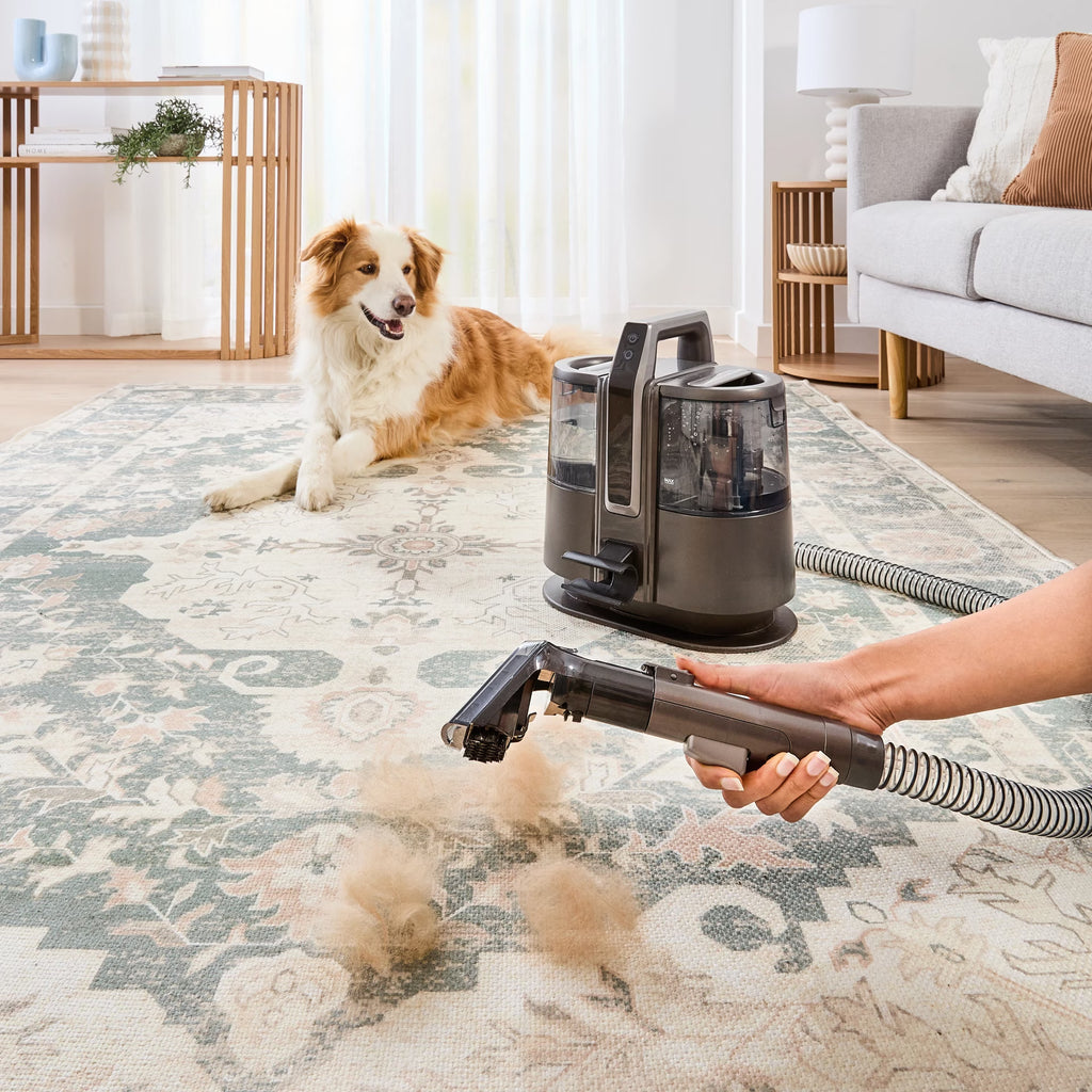 Cordless Spot Cleaner - Grey and Black