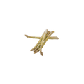 Asparagus - White