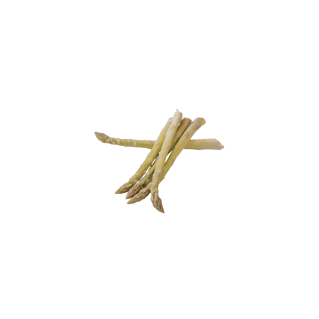 Asparagus - White