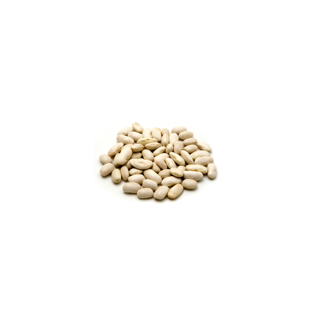 Beans - Cannellini