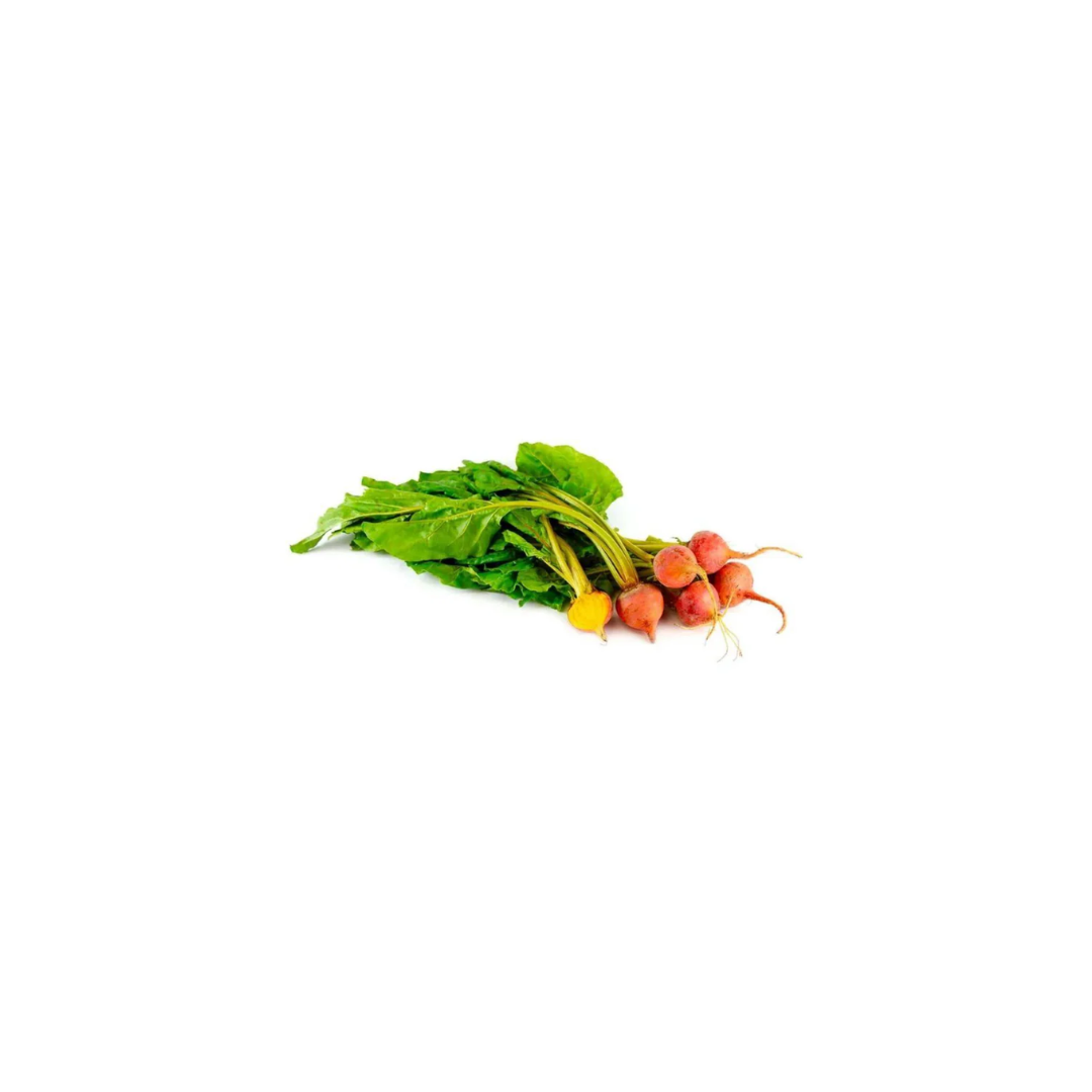 Beetroot - Baby Golden