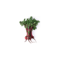 Beetroot - Baby