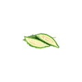 Bittermelon