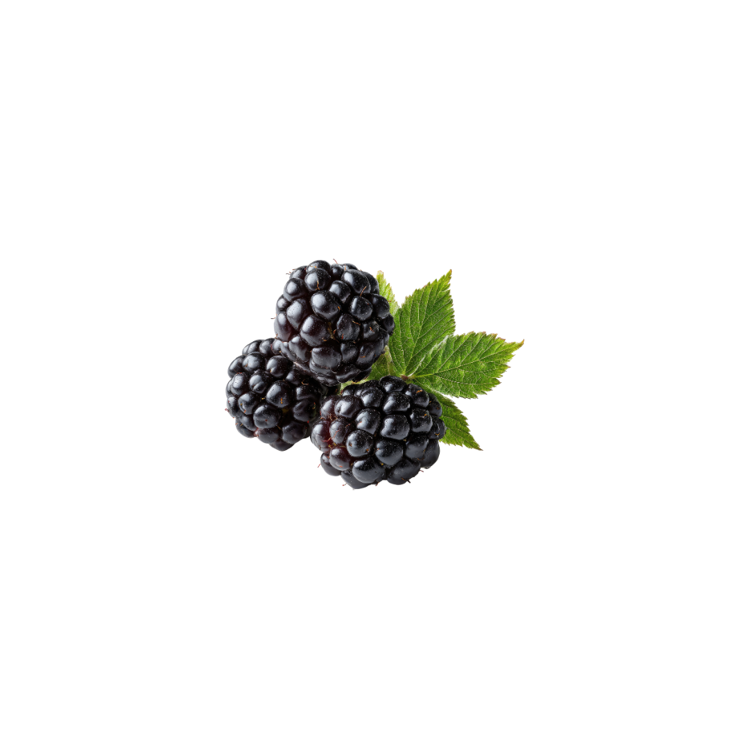 Blackberries