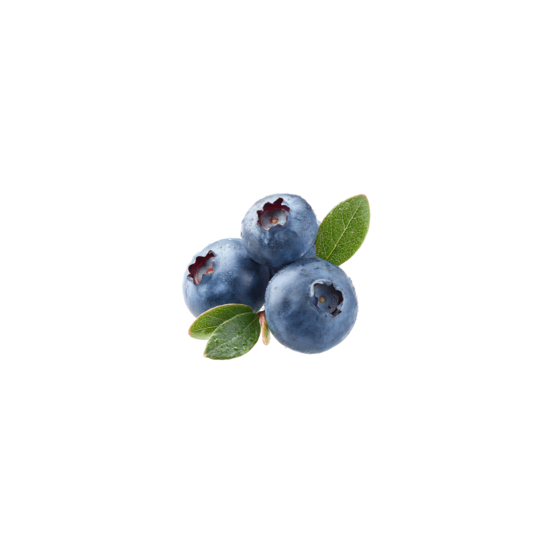 Blueberries