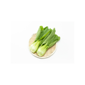 Bok Choy Baby