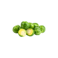Brussels Sprout