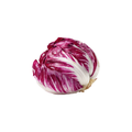 Cabbage - Red
