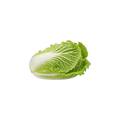 Cabbage - Sugarloaf