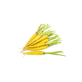 Carrots - Heirloom Baby Yellow