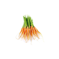 Carrots Dutch