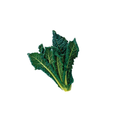 Cavolo Nero
