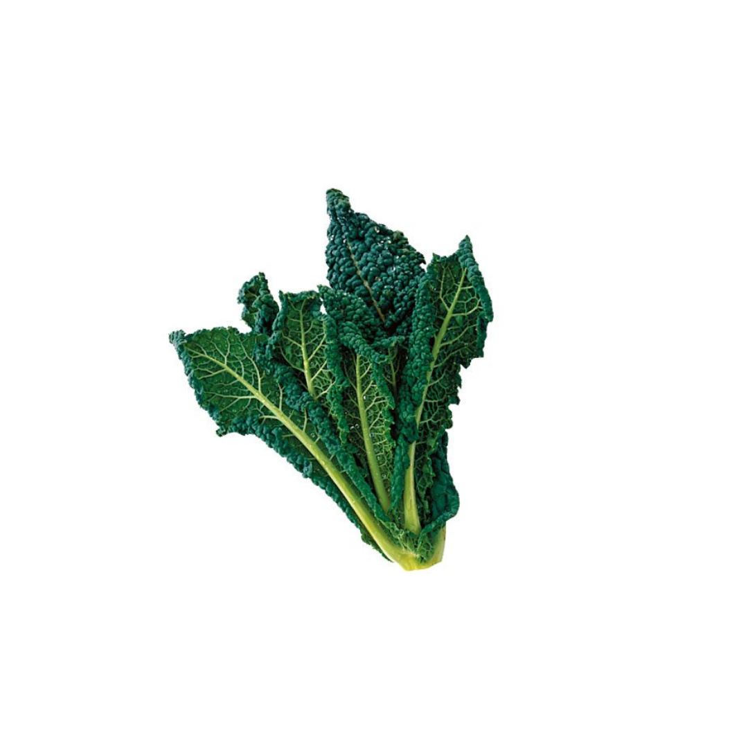 Cavolo Nero