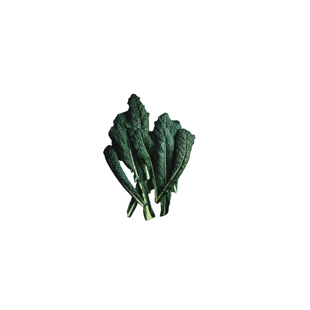 Cavolo Nero Leaves - Baby