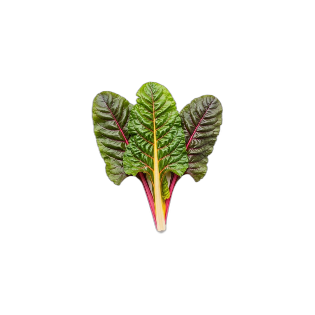 Chard - Rainbow