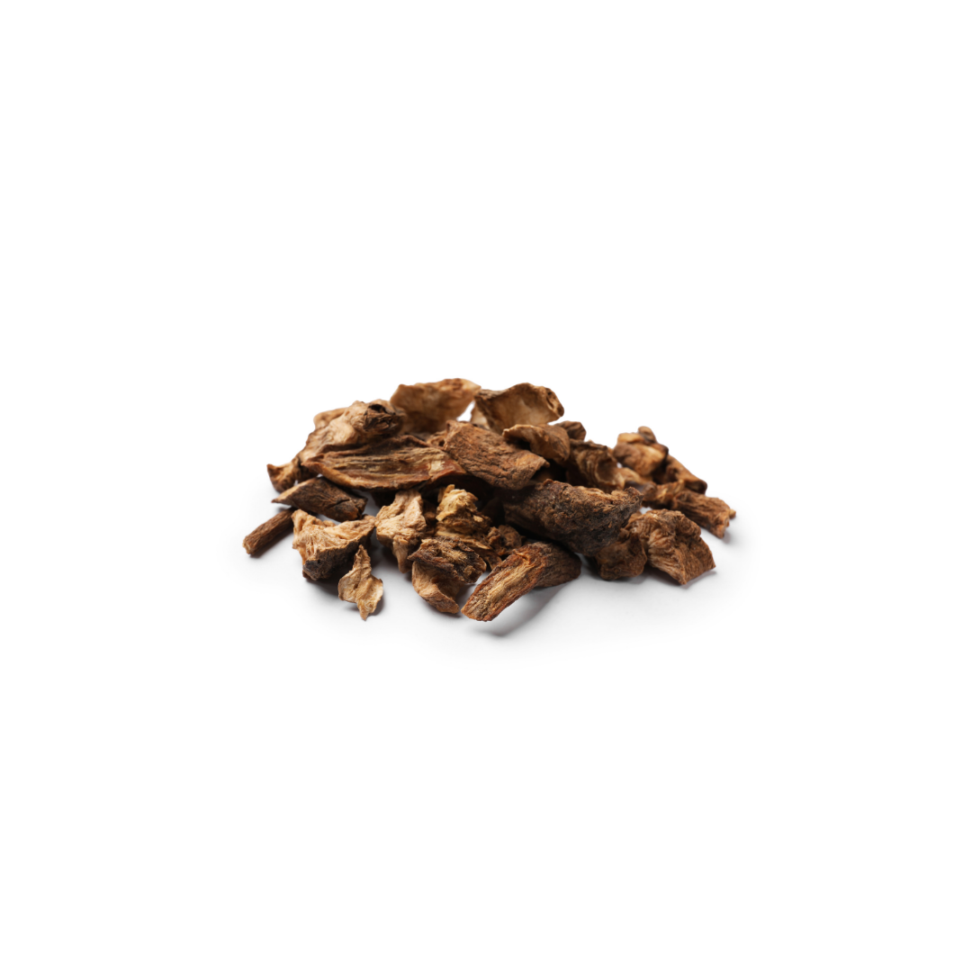Chicory