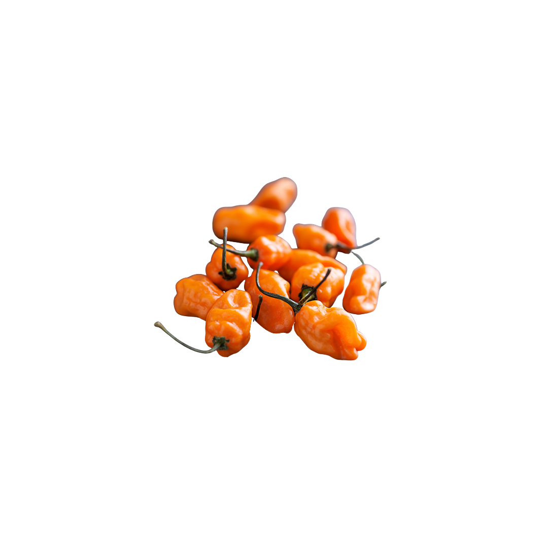 Chillies - Habanero