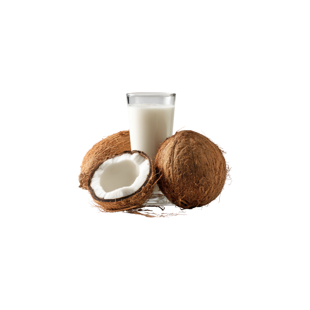 Coconut Milk