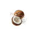 Coconut (Shredded)
