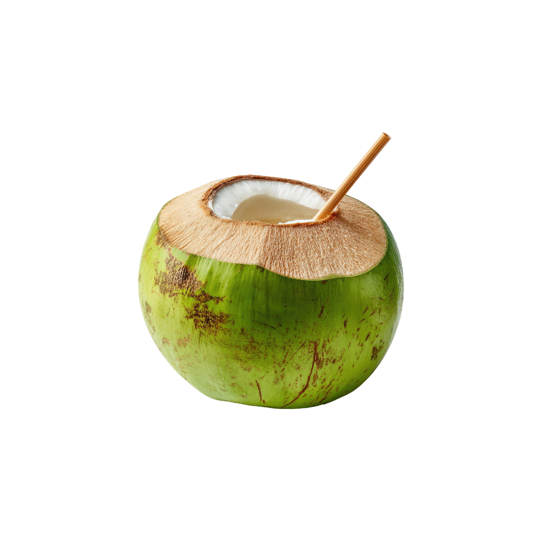 Coconuts - Drinking