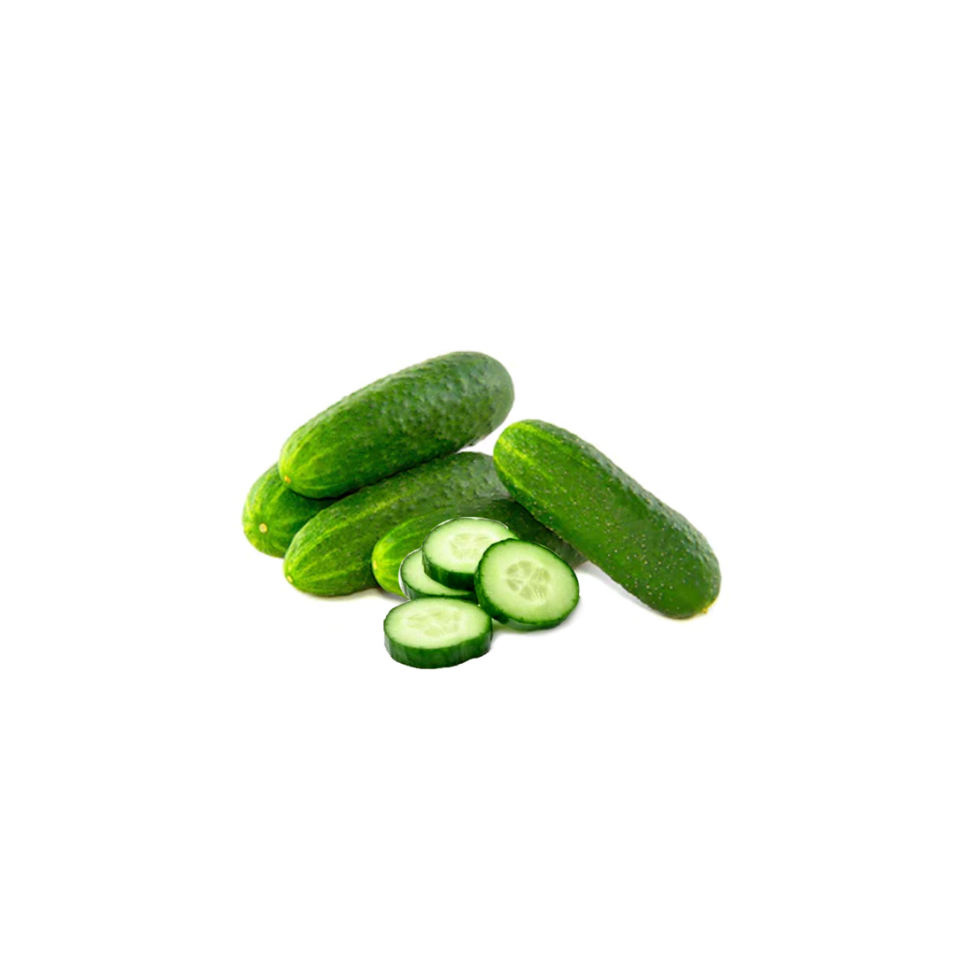 Cucumber - Baby