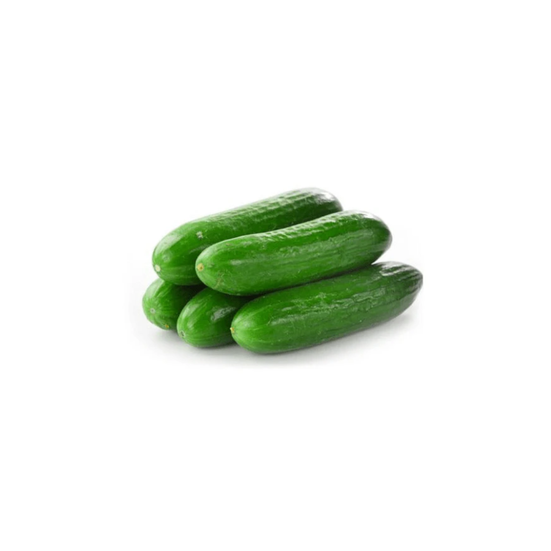 Cucumber - Lebanese
