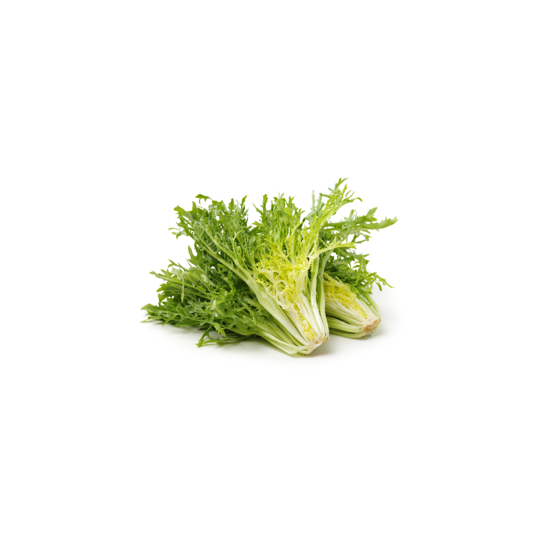 Endive - Frisee