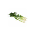 Fennel - Baby