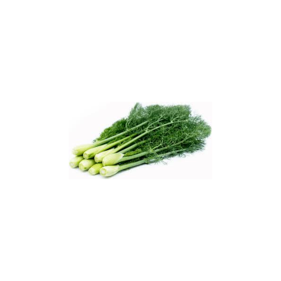 Fennel Finger