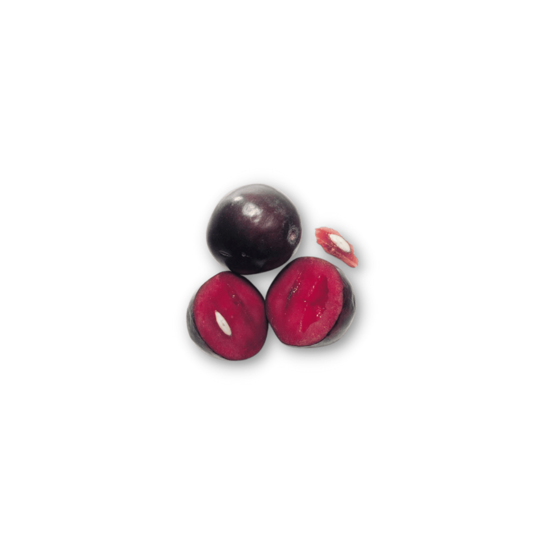 Frozen - Puree - Davidson Plum