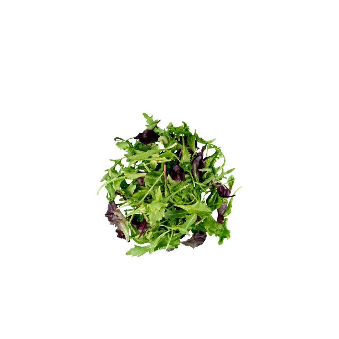 Micro Herbs Salad Pre Mix