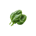 Kang Kong / Water Spinach / Hung Choy