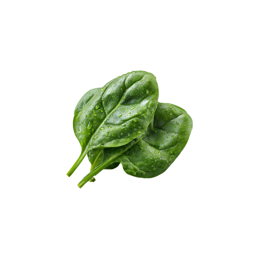 Kang Kong / Water Spinach / Hung Choy
