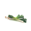 Leeks - Baby Pencil
