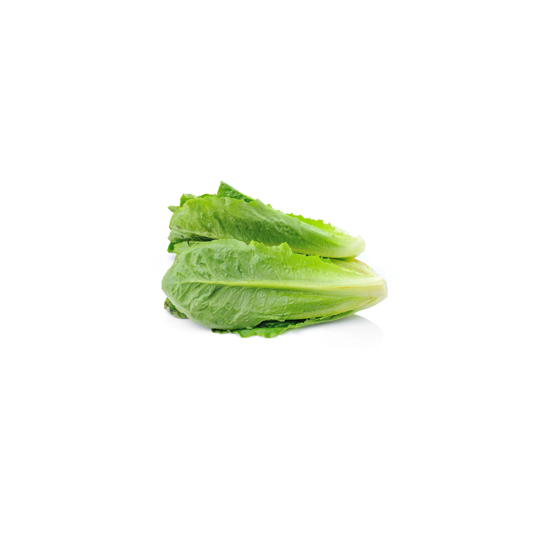Lettuce - Baby Cos (Loose)