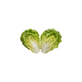Lettuce - Cos