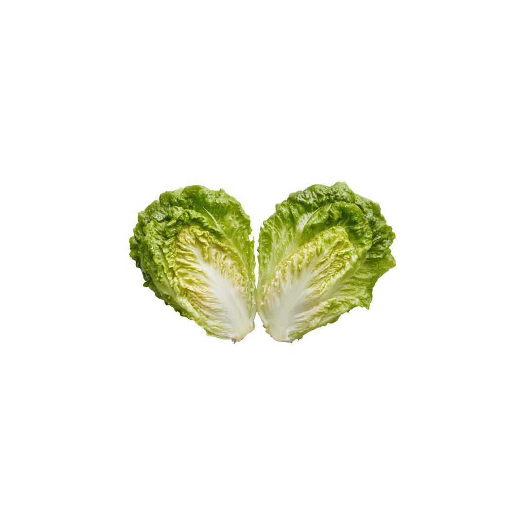 Lettuce - Cos
