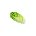 Lettuce - Cos (Hearts)