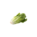 Lettuce - Frisee