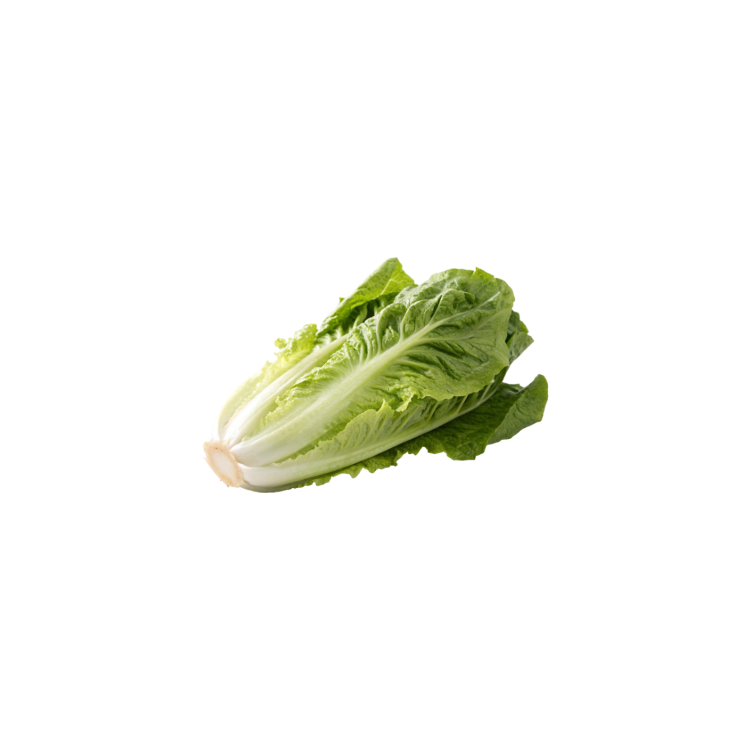 Lettuce - Frisee