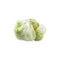 Lettuce - Iceberg