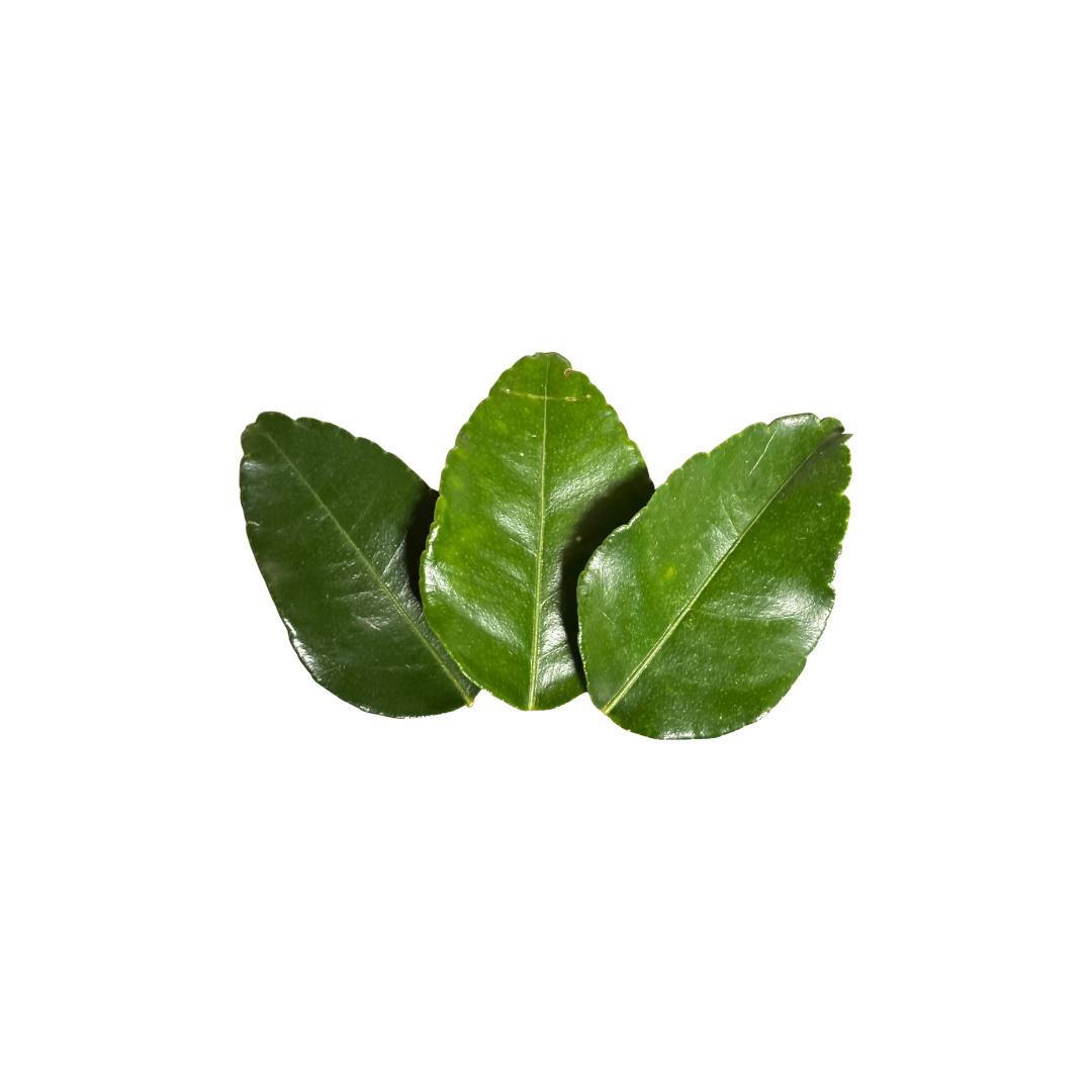 Lime Leaves