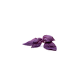 Micro Basil - Purple