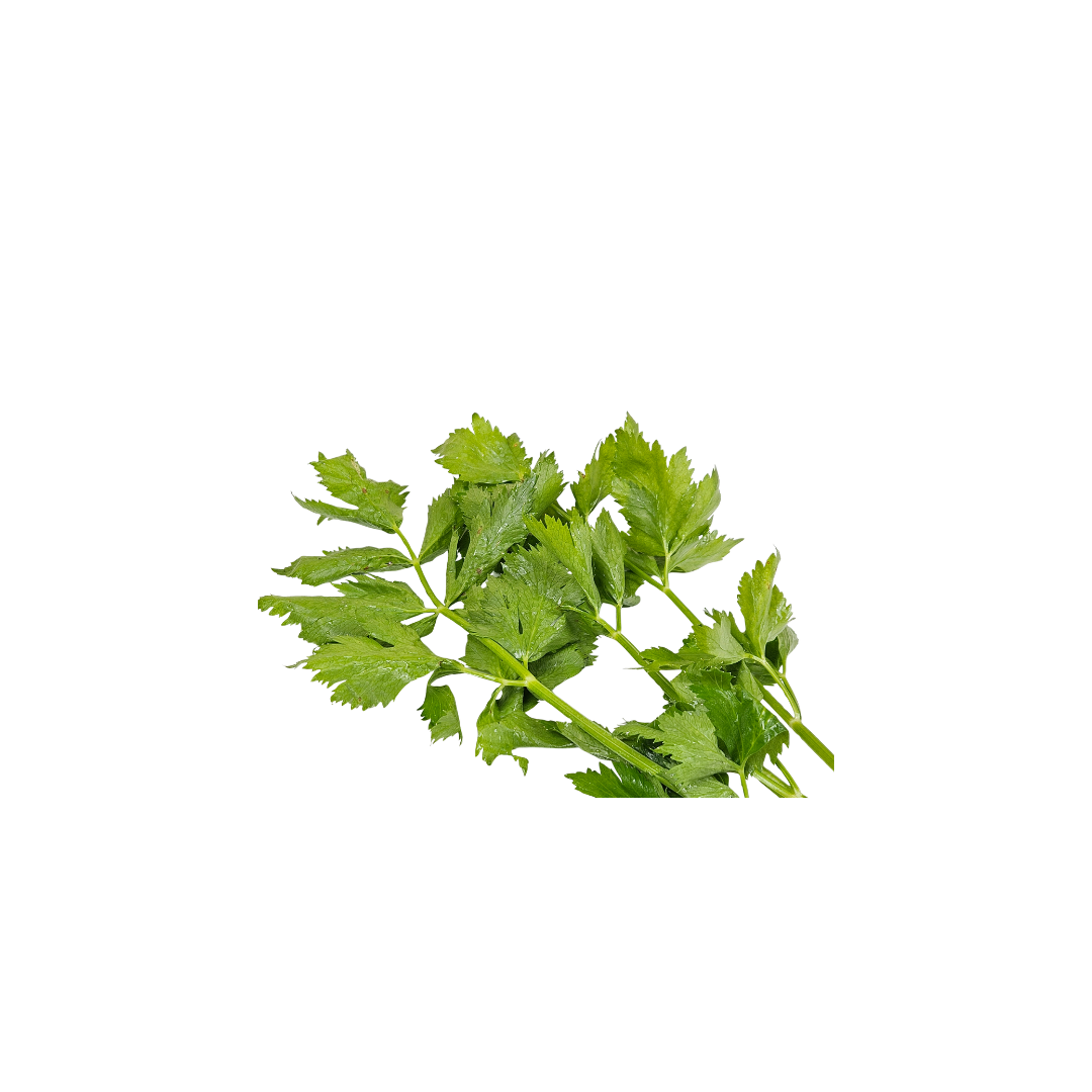 Micro Celery