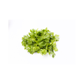 Micro Coriander
