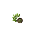 Micro Mint